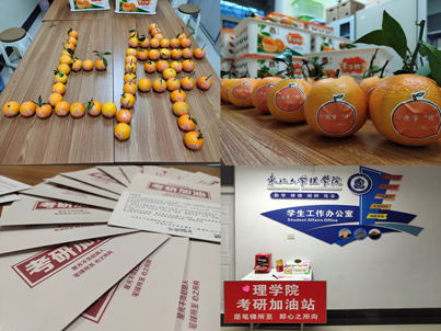 文本  描述已自动生成